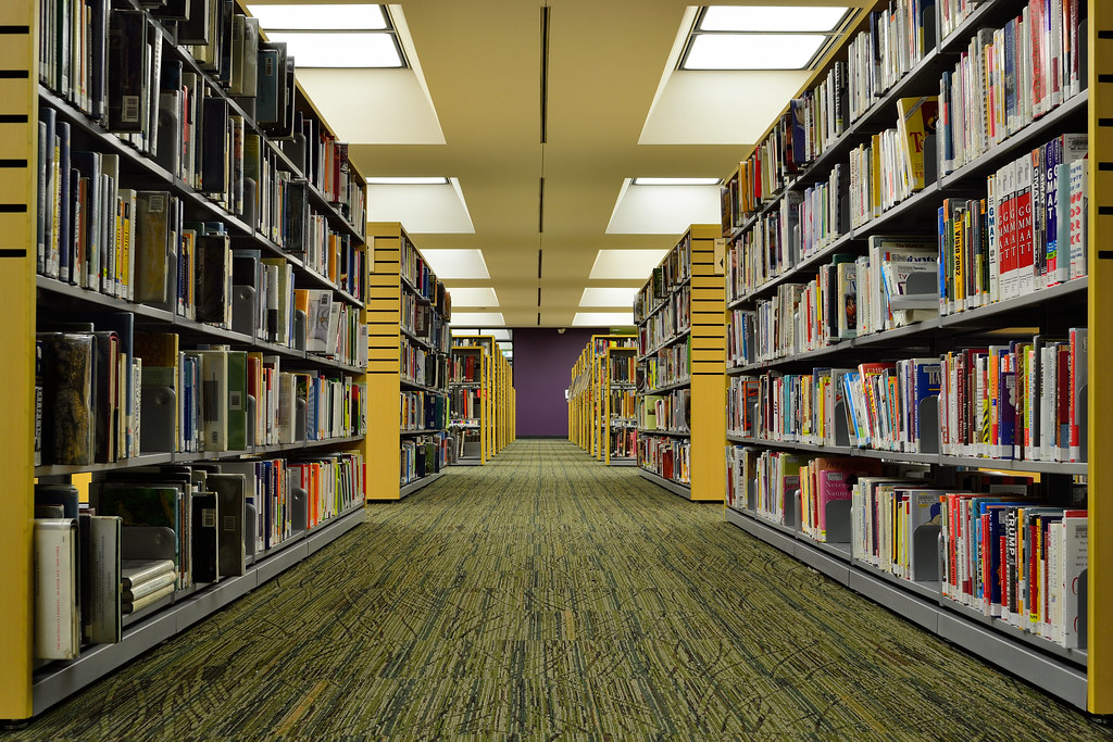 Books and reading materials on a library shelf